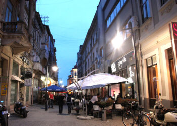 Industria care pune România pe primul loc în Europa. Un brand local ocupă poziția fruntașă